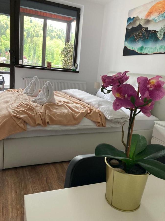 Best View Ap With Parking And 2 Bathrooms سِنايا المظهر الخارجي الصورة